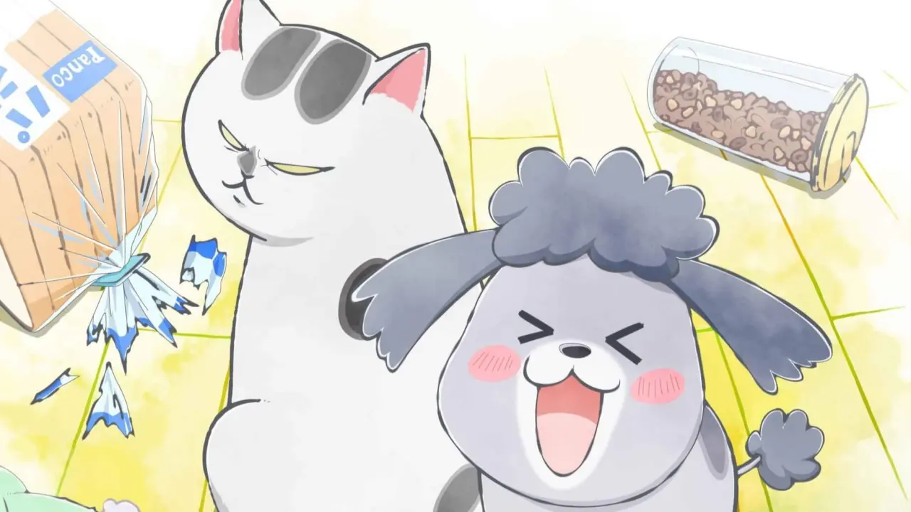 Inu to Neko Docchi mo Katteru to Mainichi Tanoshii