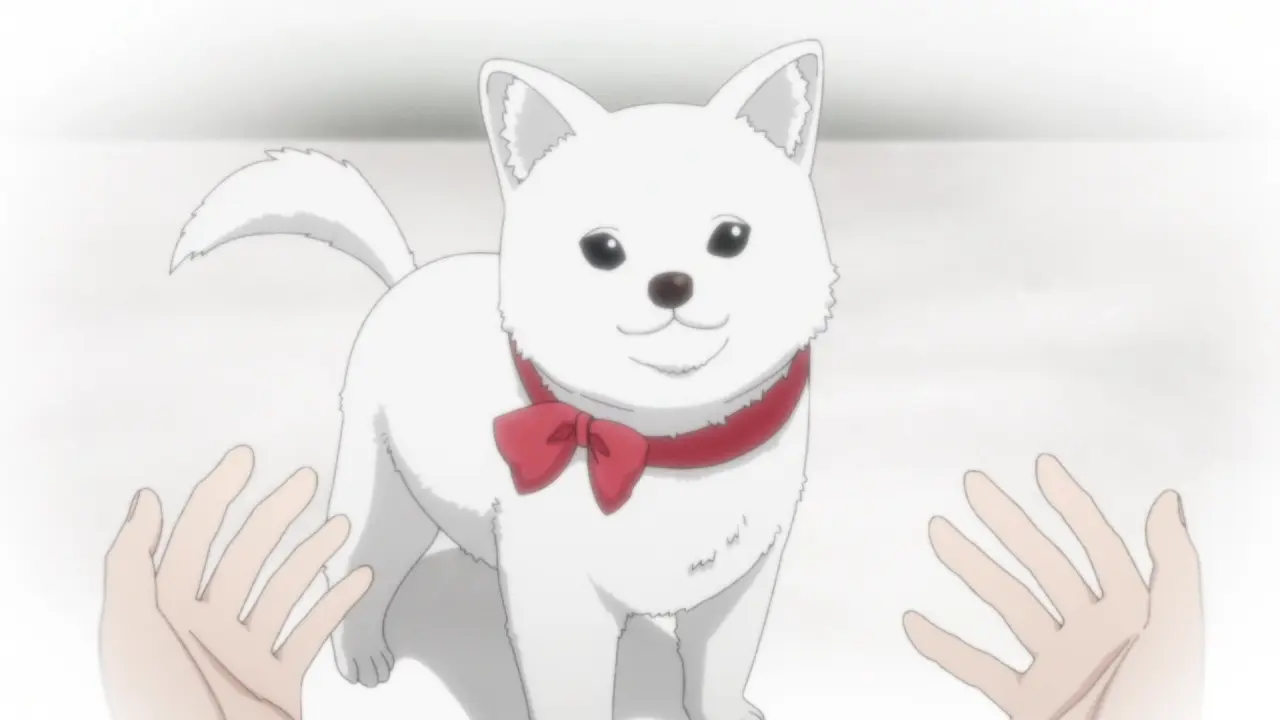 Kinokoinu Mushroom Pup